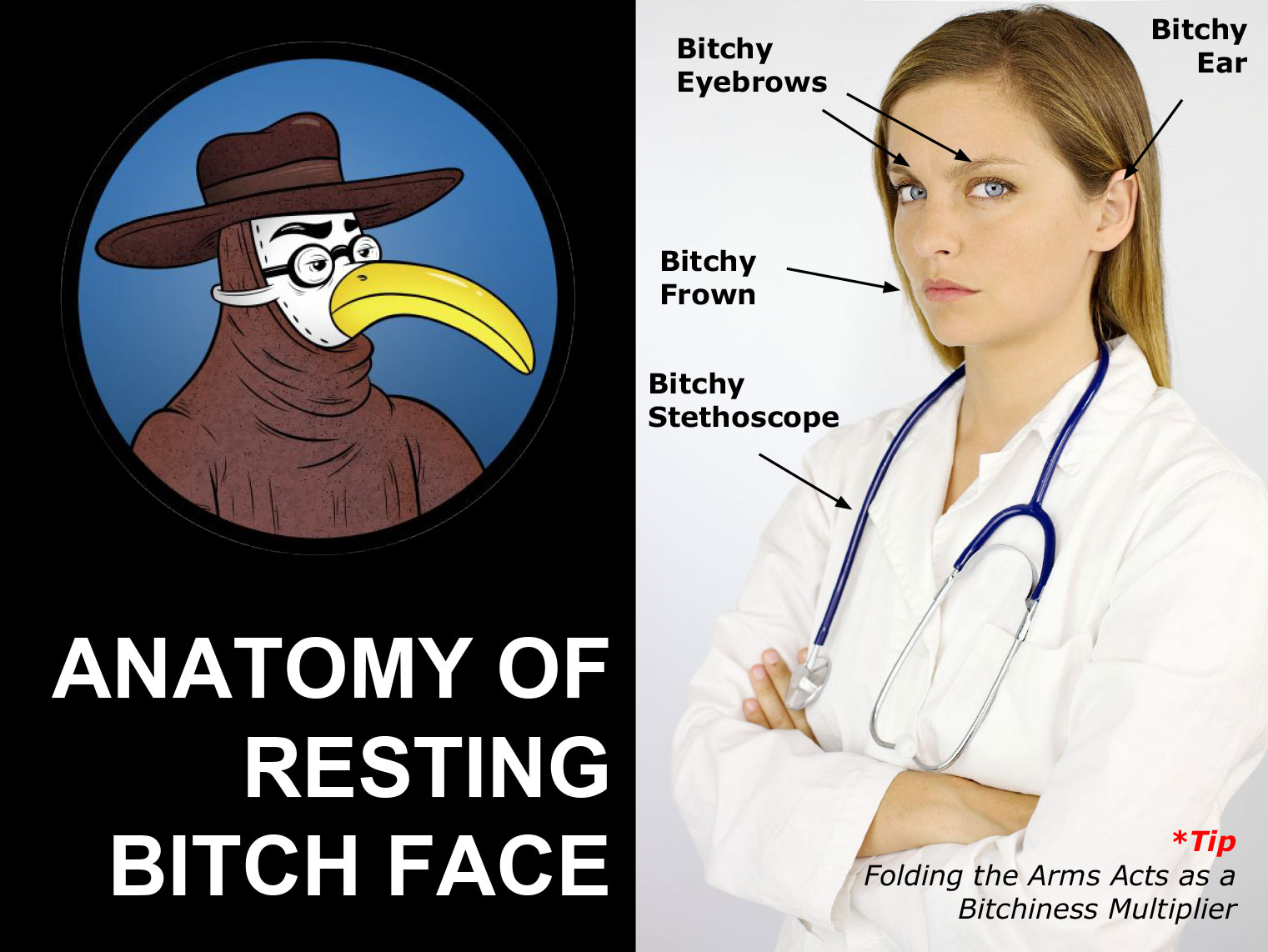 Anatomy Of Resting Bitch Face Gomerpedia