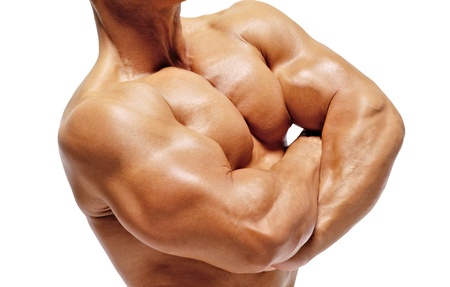 Biceps - Gomerpedia