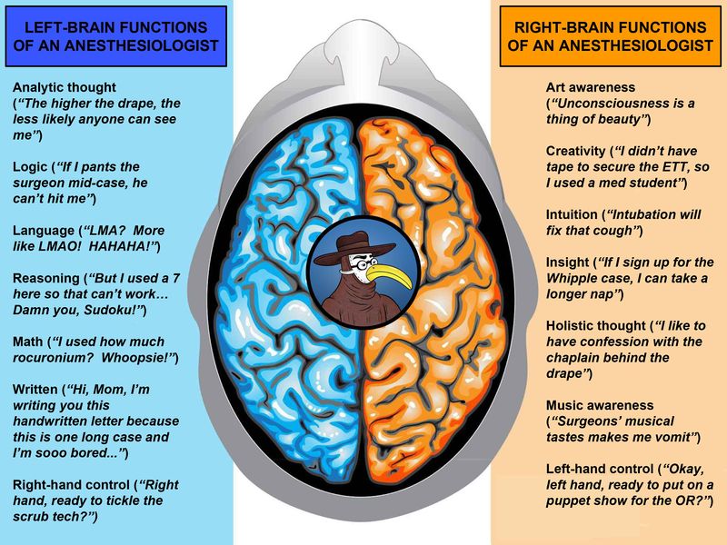 Hemispheres of an Anesthesiologist.jpg