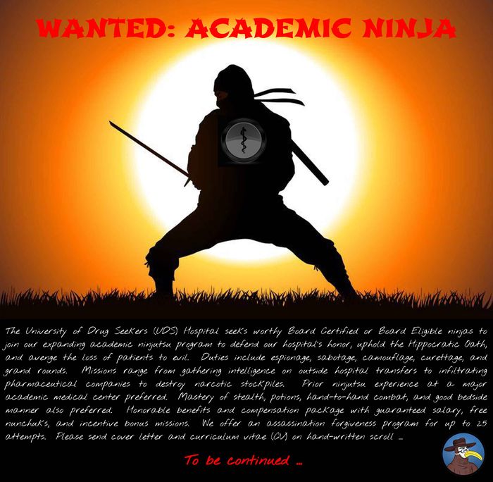 Wanted - Academic Ninja.jpg