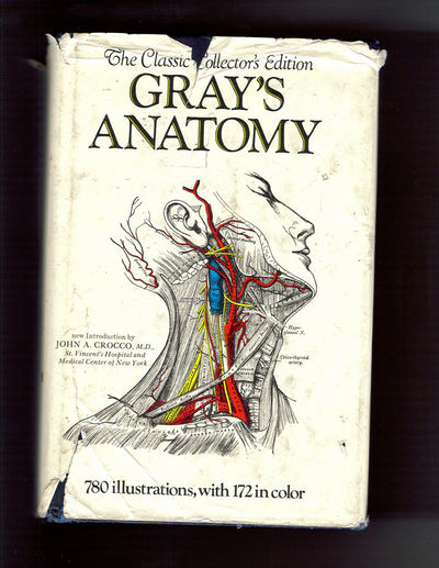Gray's Anatomy - Gomerpedia