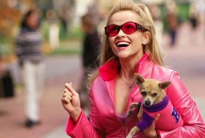 Legally Blonde Screenshot.jpg