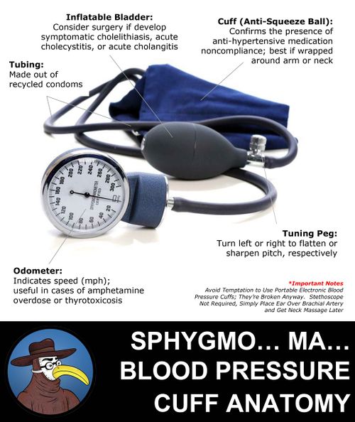 Anatomy of a Blood Pressure Cuff.jpg
