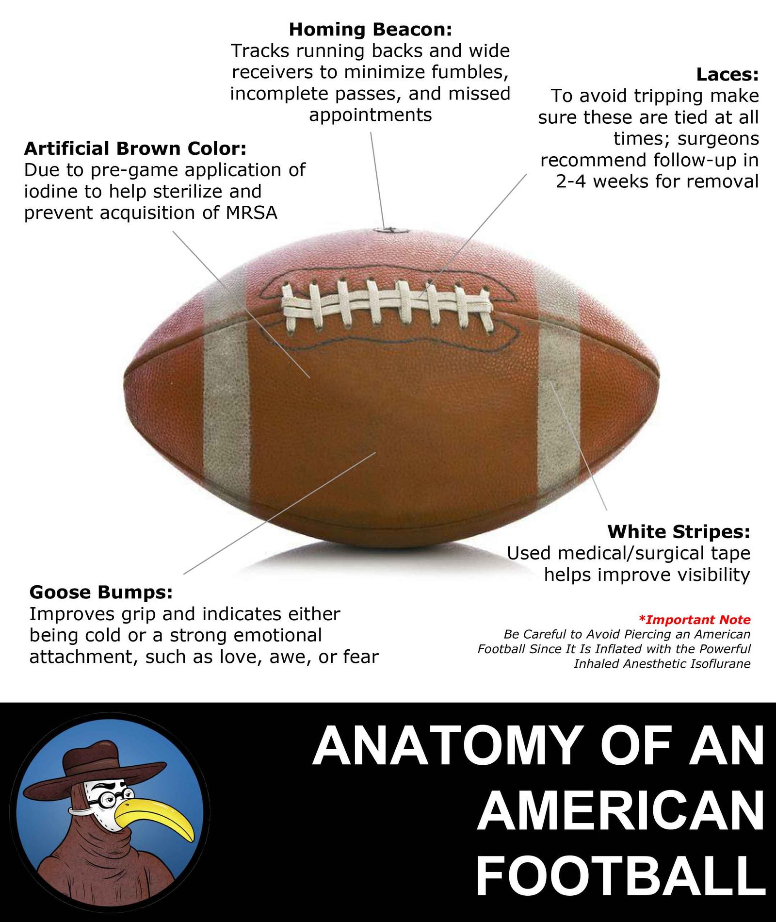 Anatomy of an American Football Gomerpedia